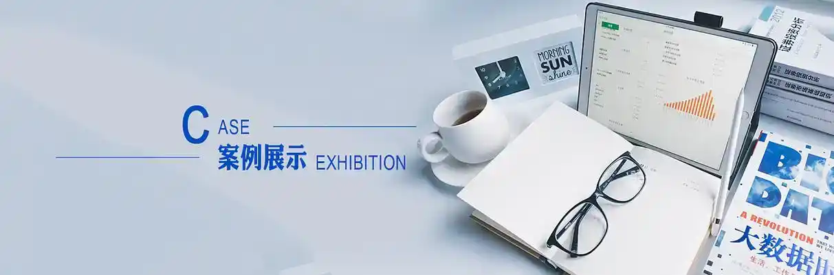 寿县软件开发